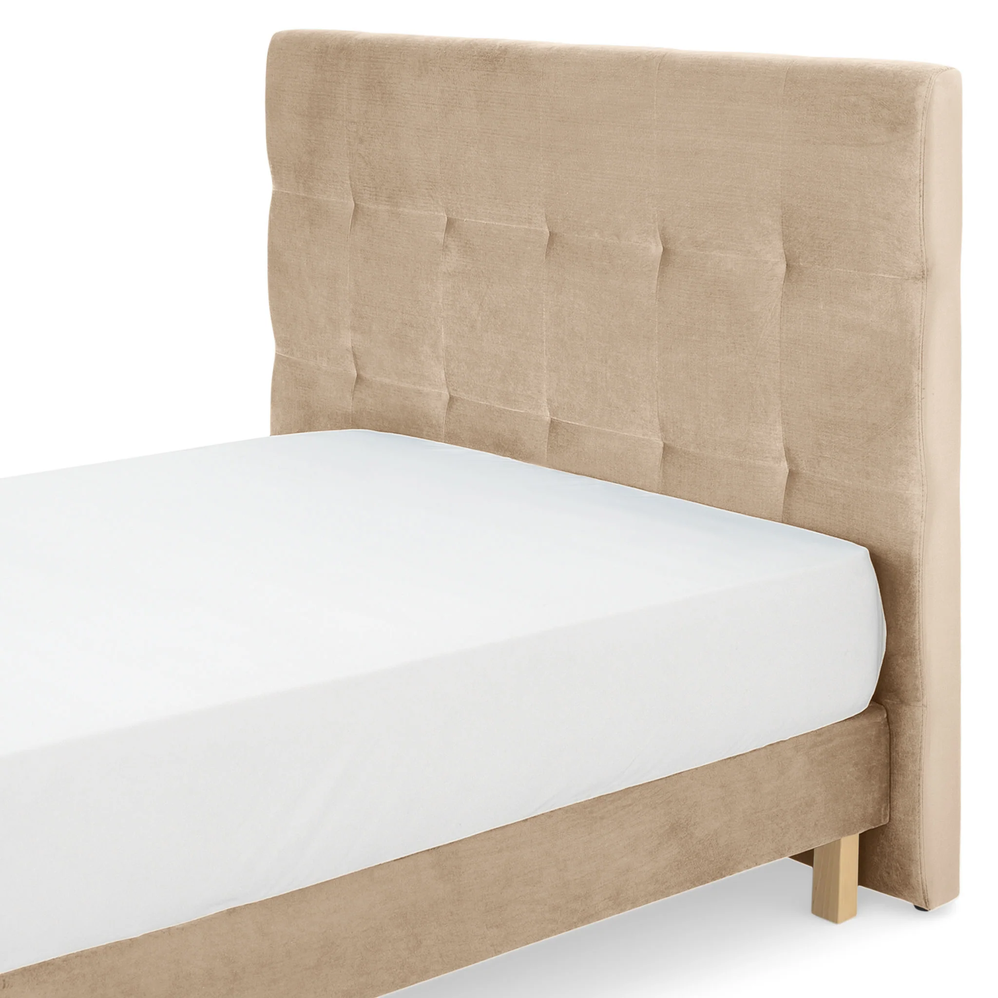 Thumbnail 29
