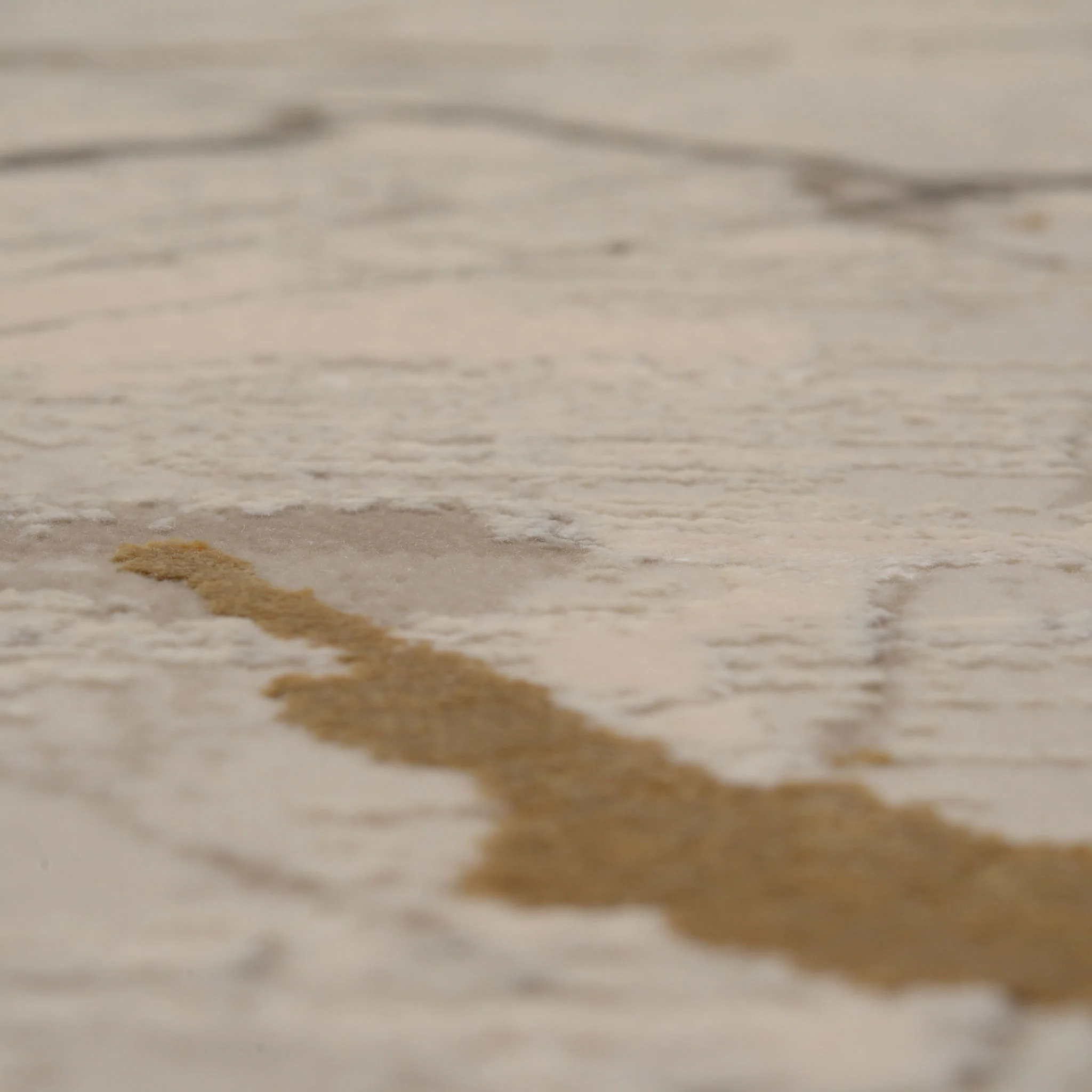 Thumbnail 50