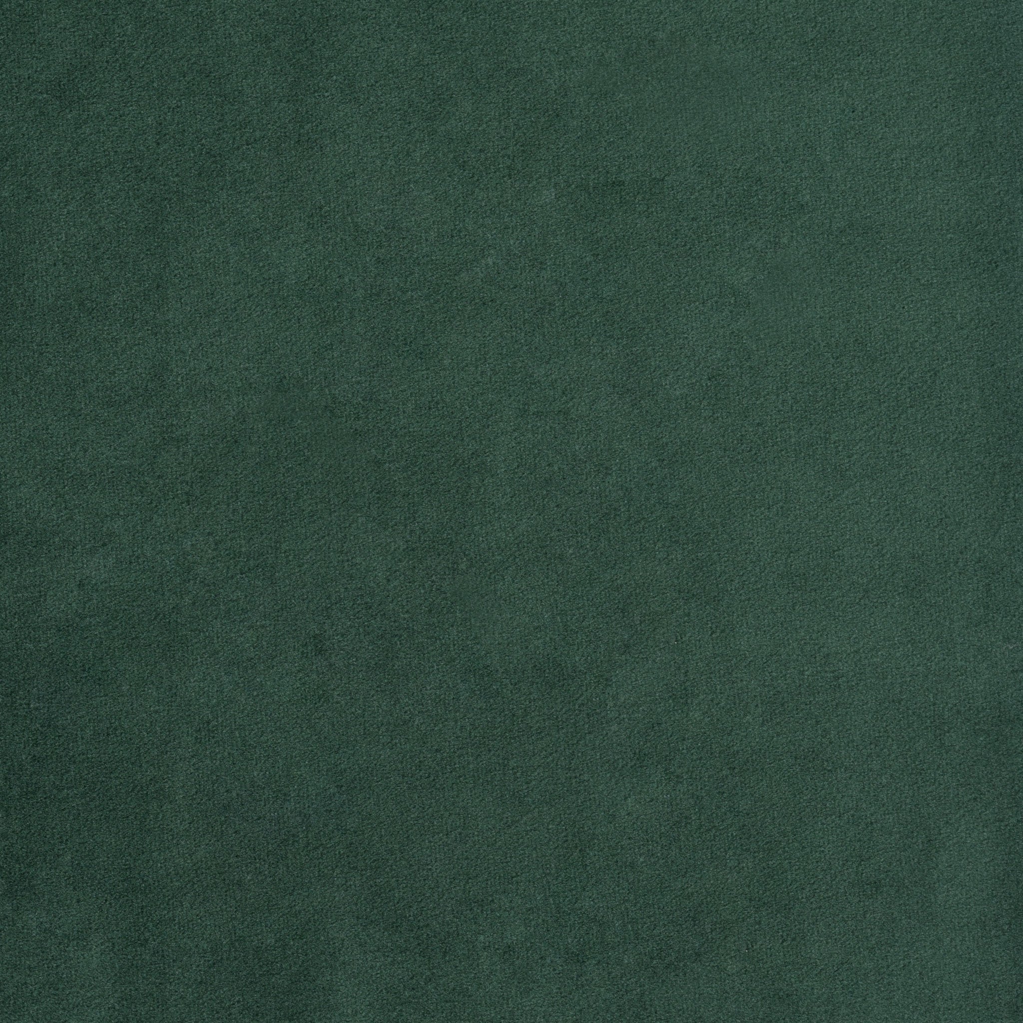 Thumbnail 29